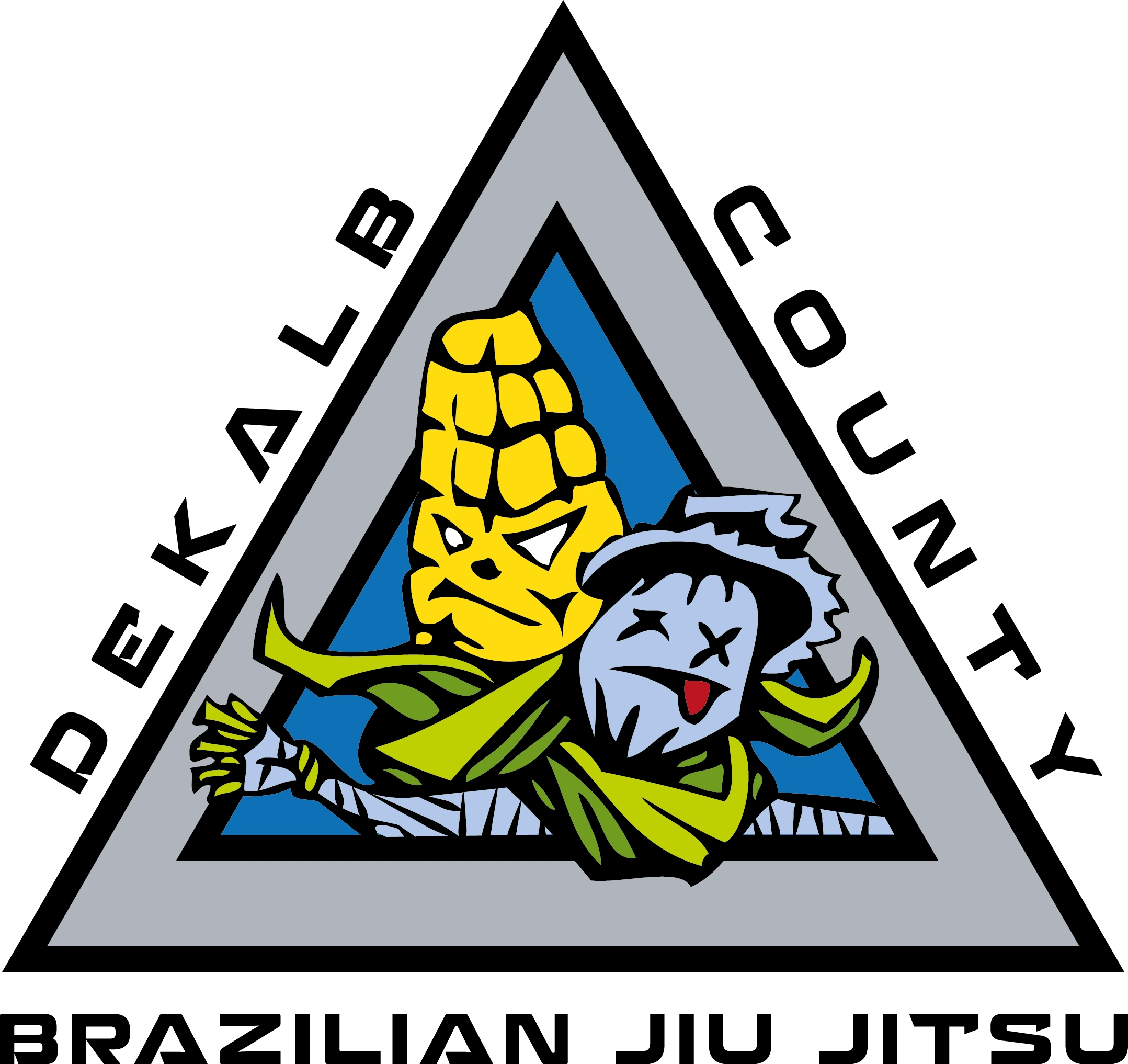 DeKalb County BJJ training facility